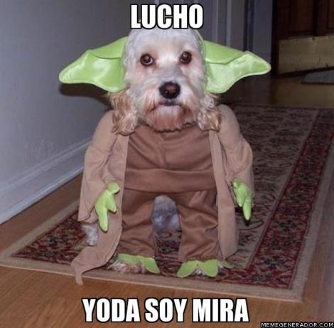 Mira lucho