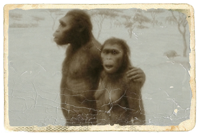 ¿Por qué somos&nbsp;infieles?