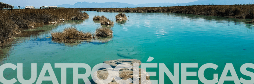 Qué hacer en Cuatrociénegas: recomendaciones de&nbsp;viajero